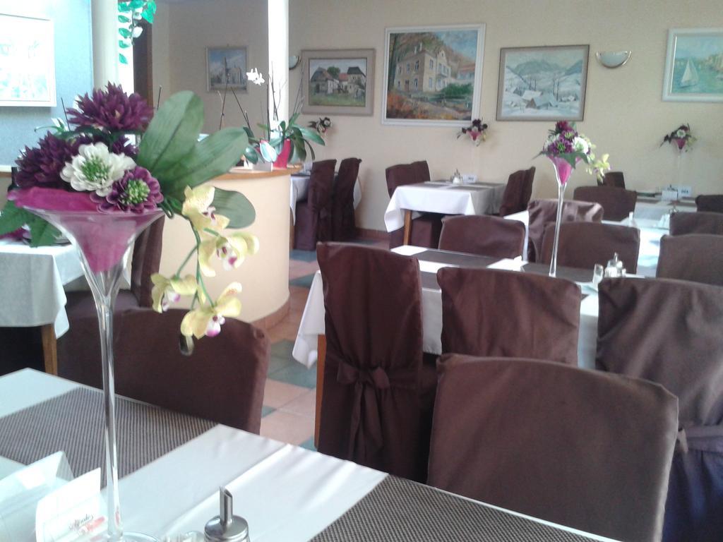 Hotel Vila Anna Trenčianske Teplice Εξωτερικό φωτογραφία